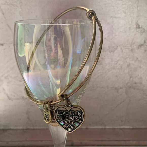 Alex and Ani: Love Is In The Air Bracelet - Picture 1 of 3